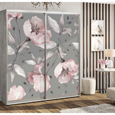 Шкаф-купе "Фотопечать на стекле" 2,0м